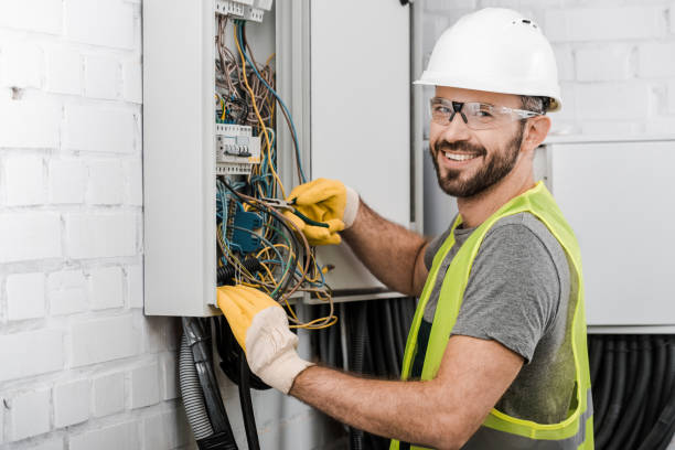 Best Electric Panel Repair  in Wanakah, NY